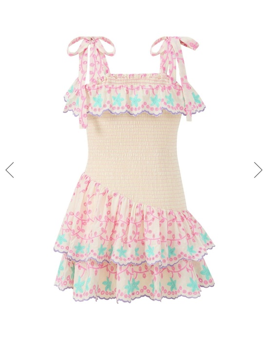 Marlo Dresses & Skirts - Alanna Shirred Embroidered Mini Dress